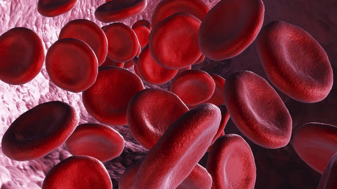 Nitric Oxide (NO) is the key formula for uptake of OXYGEN in your cells.
